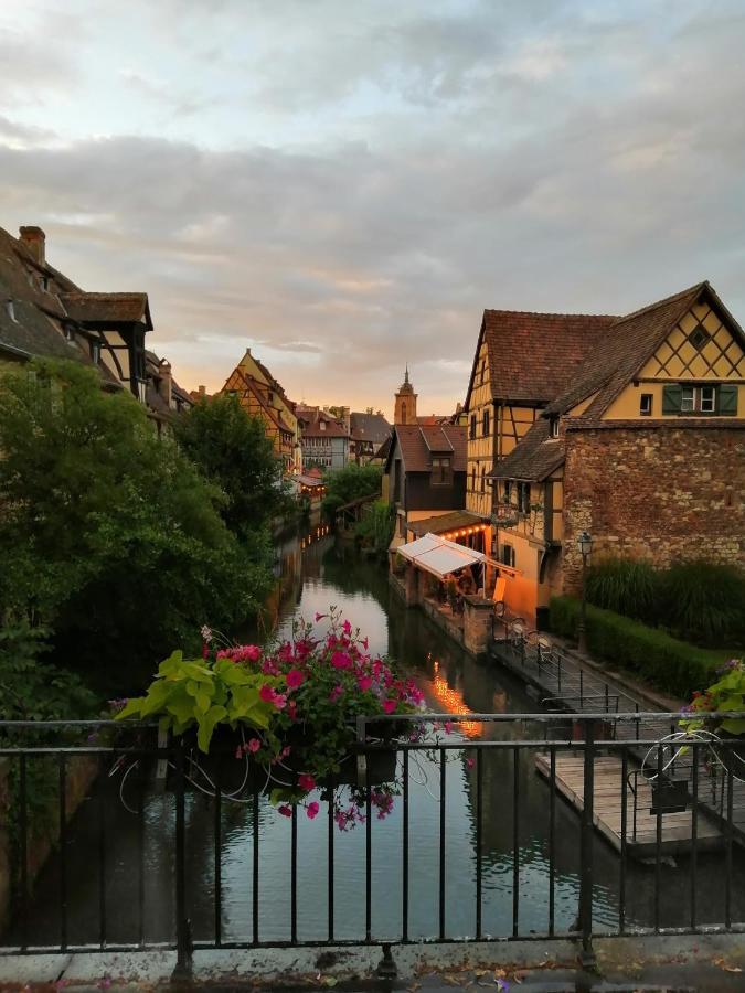 La Cour De Berthe Ouest Daire Colmar Dış mekan fotoğraf